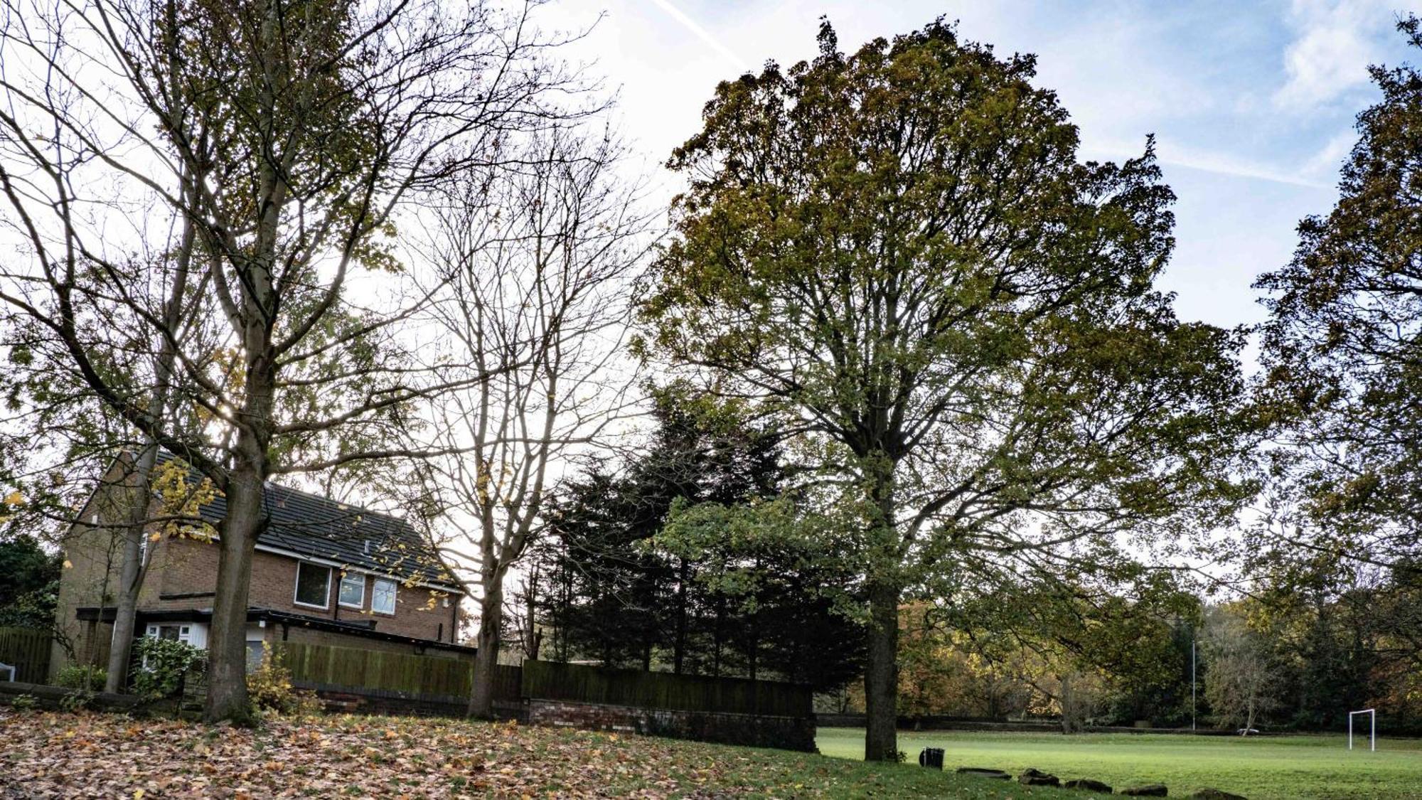 Cross Lane Cottage Pudsey Exteriör bild